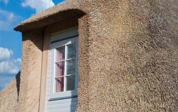 Plain Street thatch roof disadvantages